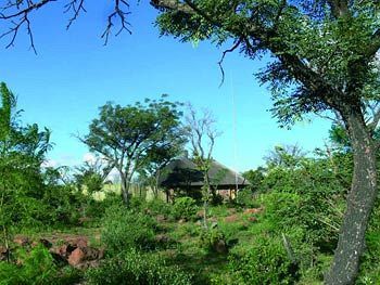 Abloom Bush Lodge & Spa Retreat Cullinan Buitenkant foto